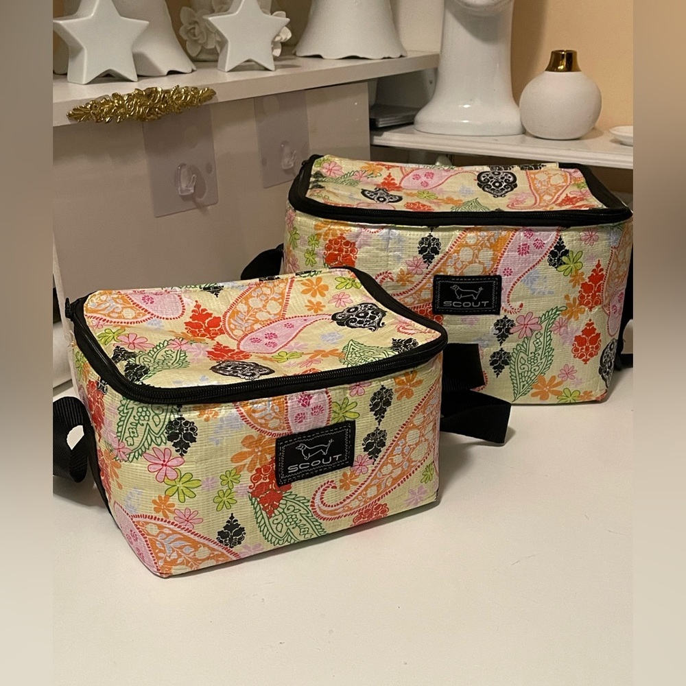 Scout two pieces of lunchboxes set. Clean without any damages